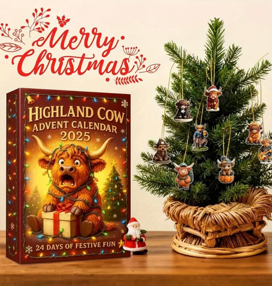 Highland cow advent calendar