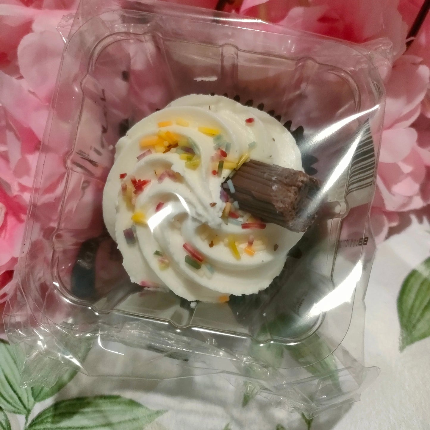 Cupcake Box