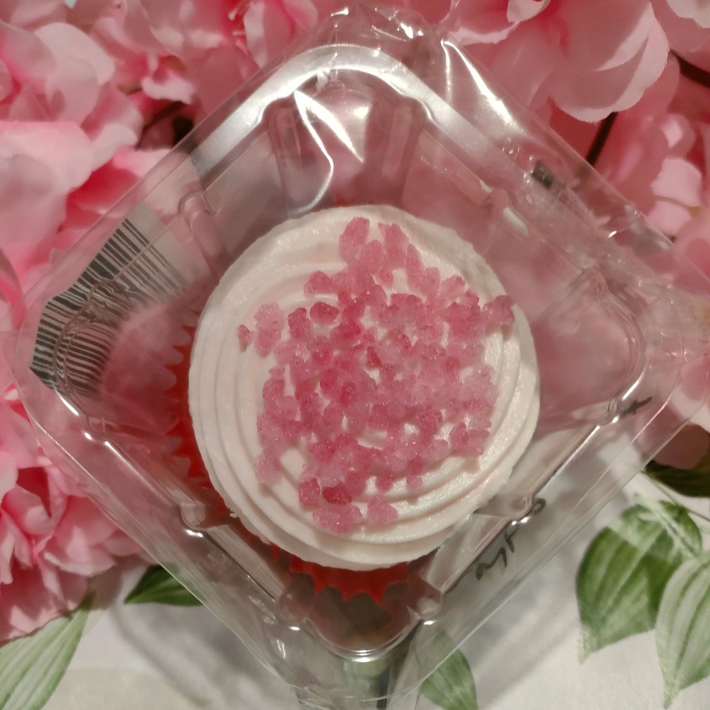 Cupcake Box