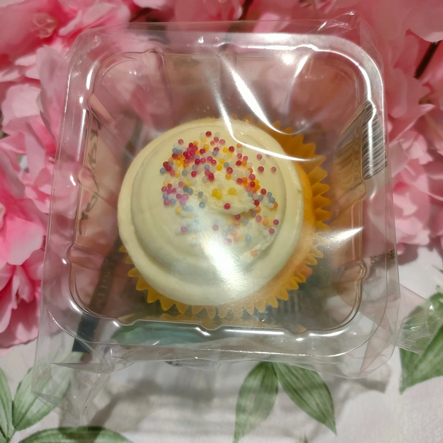 Cupcake Box
