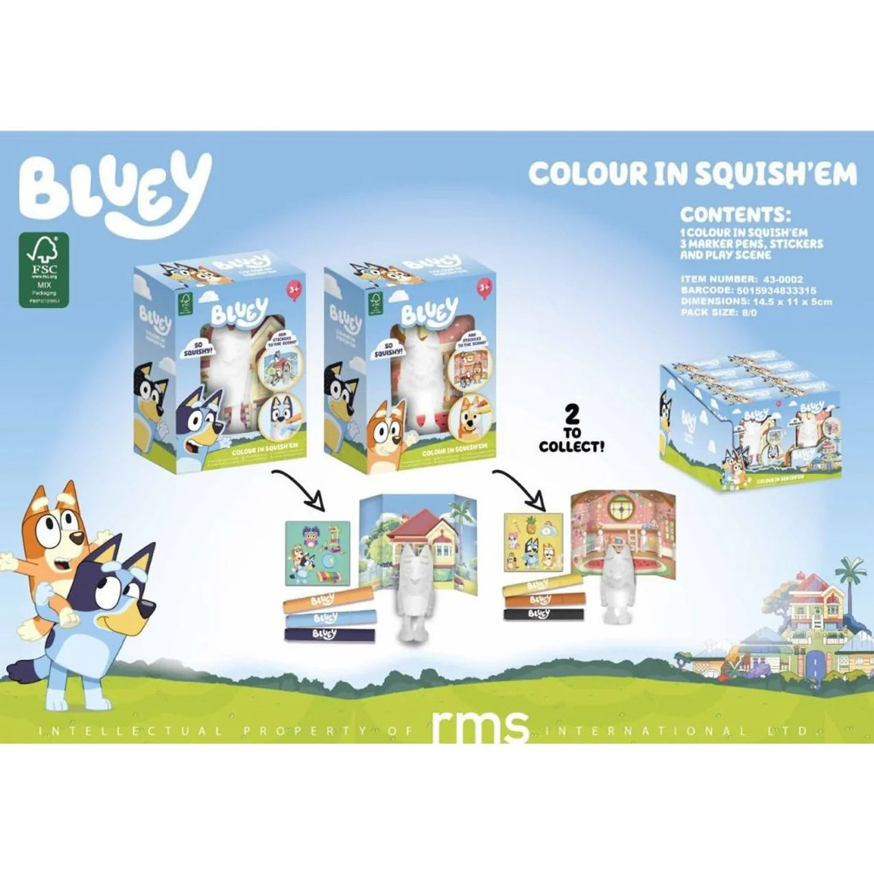 bluey colour in squishem